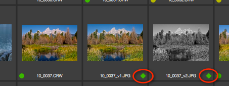 Photo Ninja tutorial: Re-edit RAW from rendered JPEG/TIFF